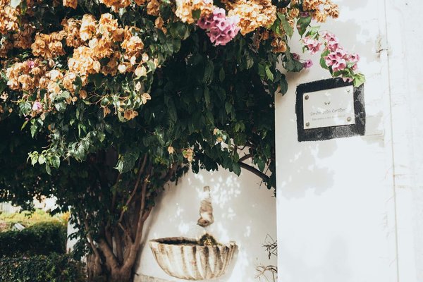 Comment créer un espace extérieur au style Méditerranéen dans un petit jardin ?